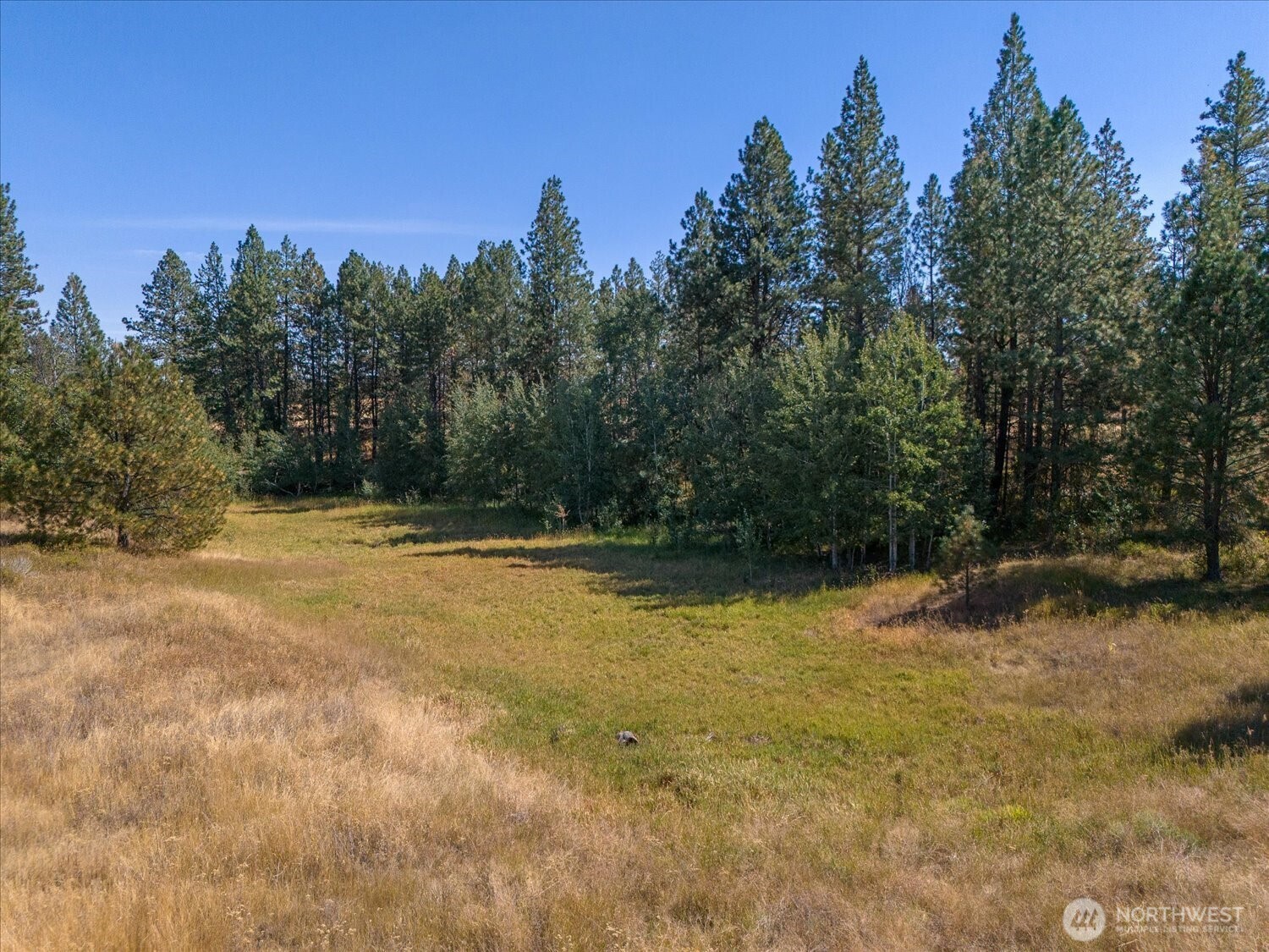 36321 S Bootstrap Ln Property Photo 6