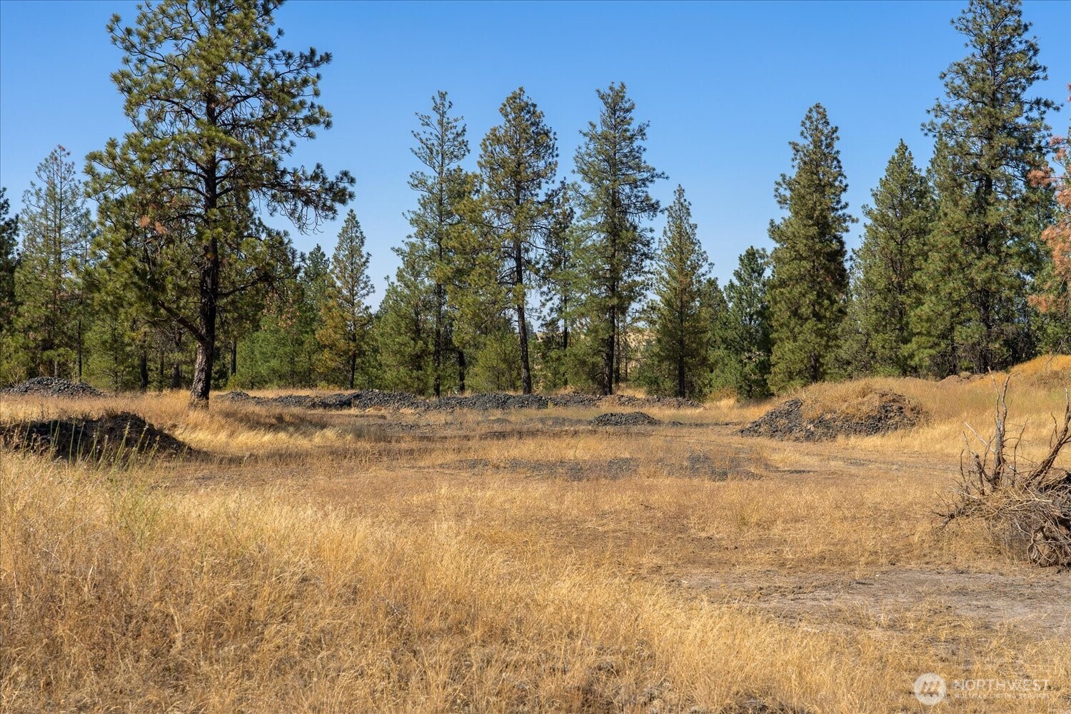 36321 S Bootstrap Ln Property Photo 7
