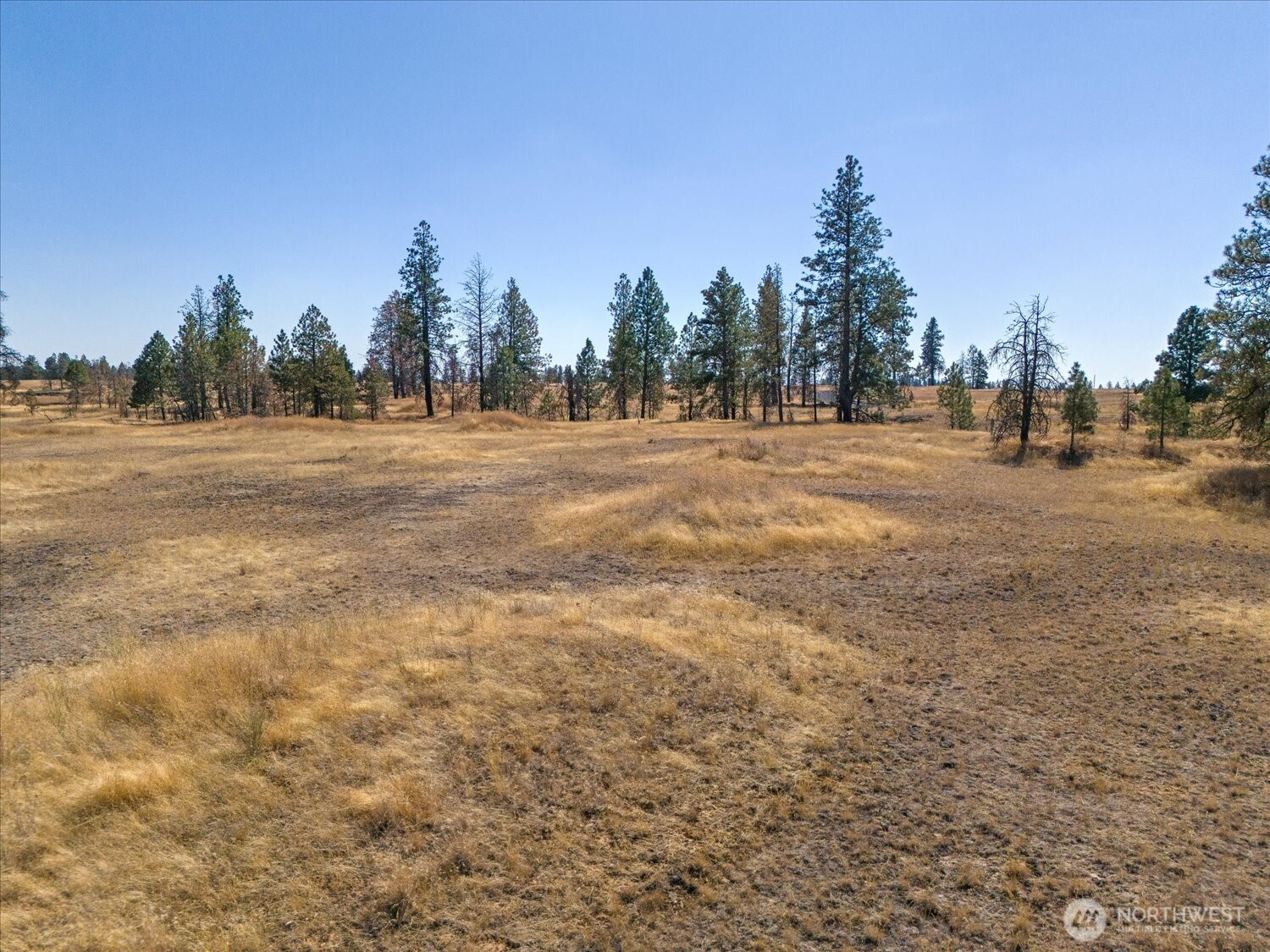 36377 S Bootstrap Ln Property Photo 4