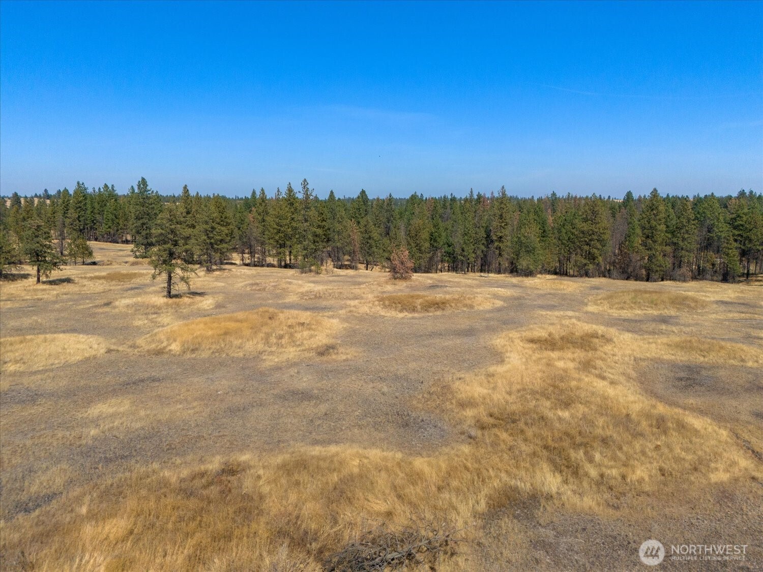 36377 S Bootstrap Ln Property Photo 5