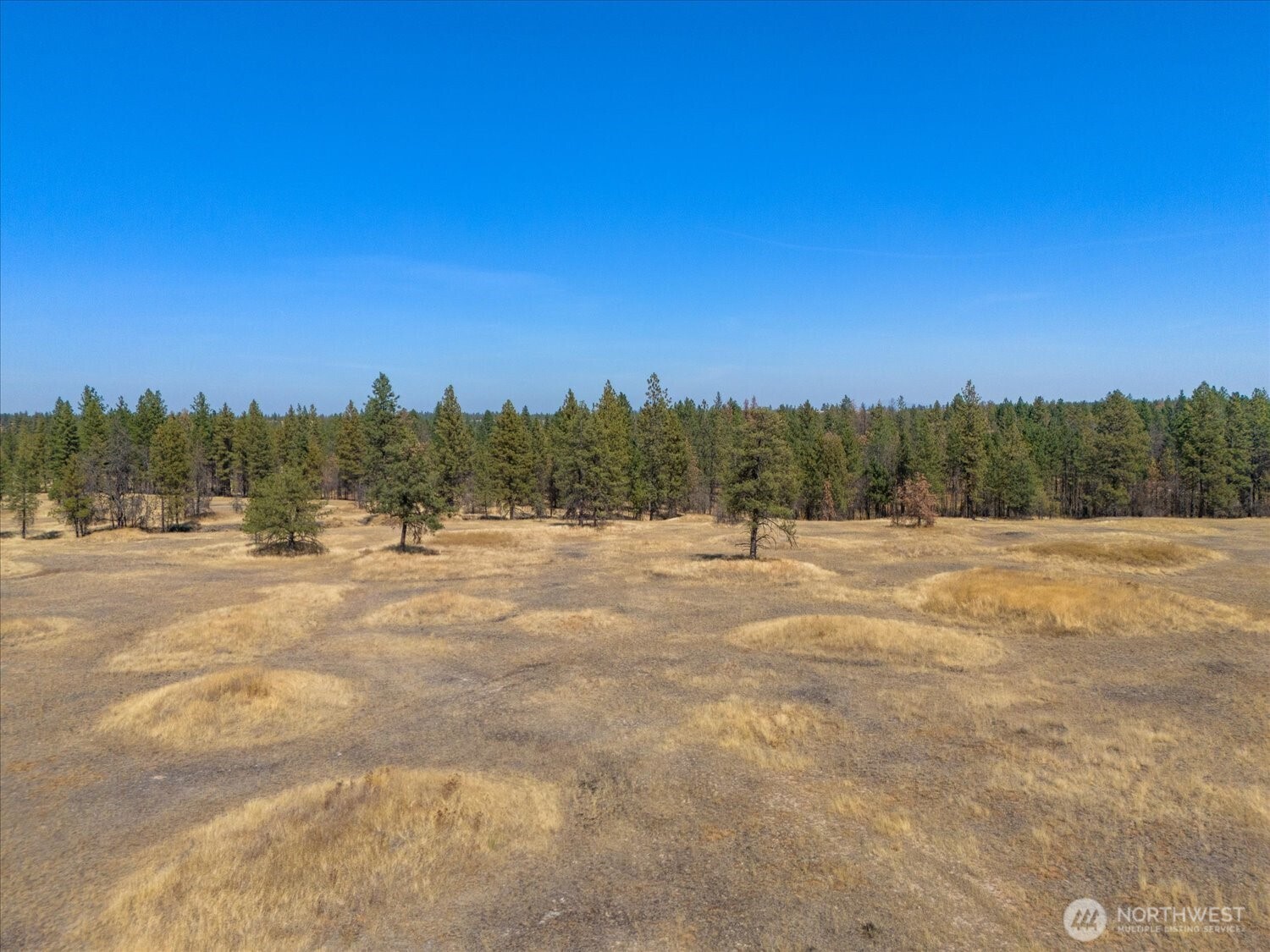 36377 S Bootstrap Ln Property Photo 6