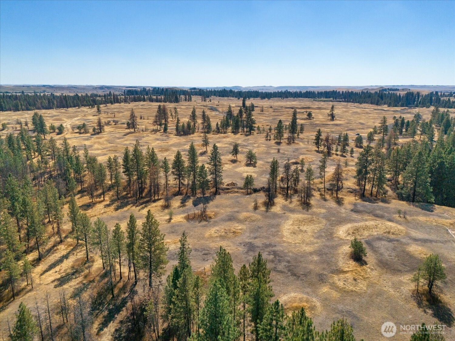 36377 S Bootstrap Ln Property Photo 10