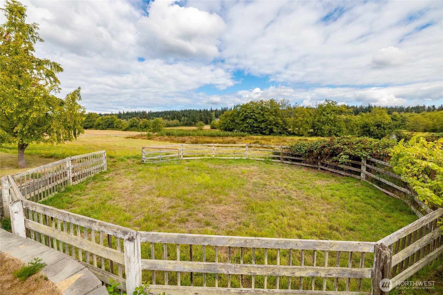 5375 Shore Meadow Road Property Photo 37