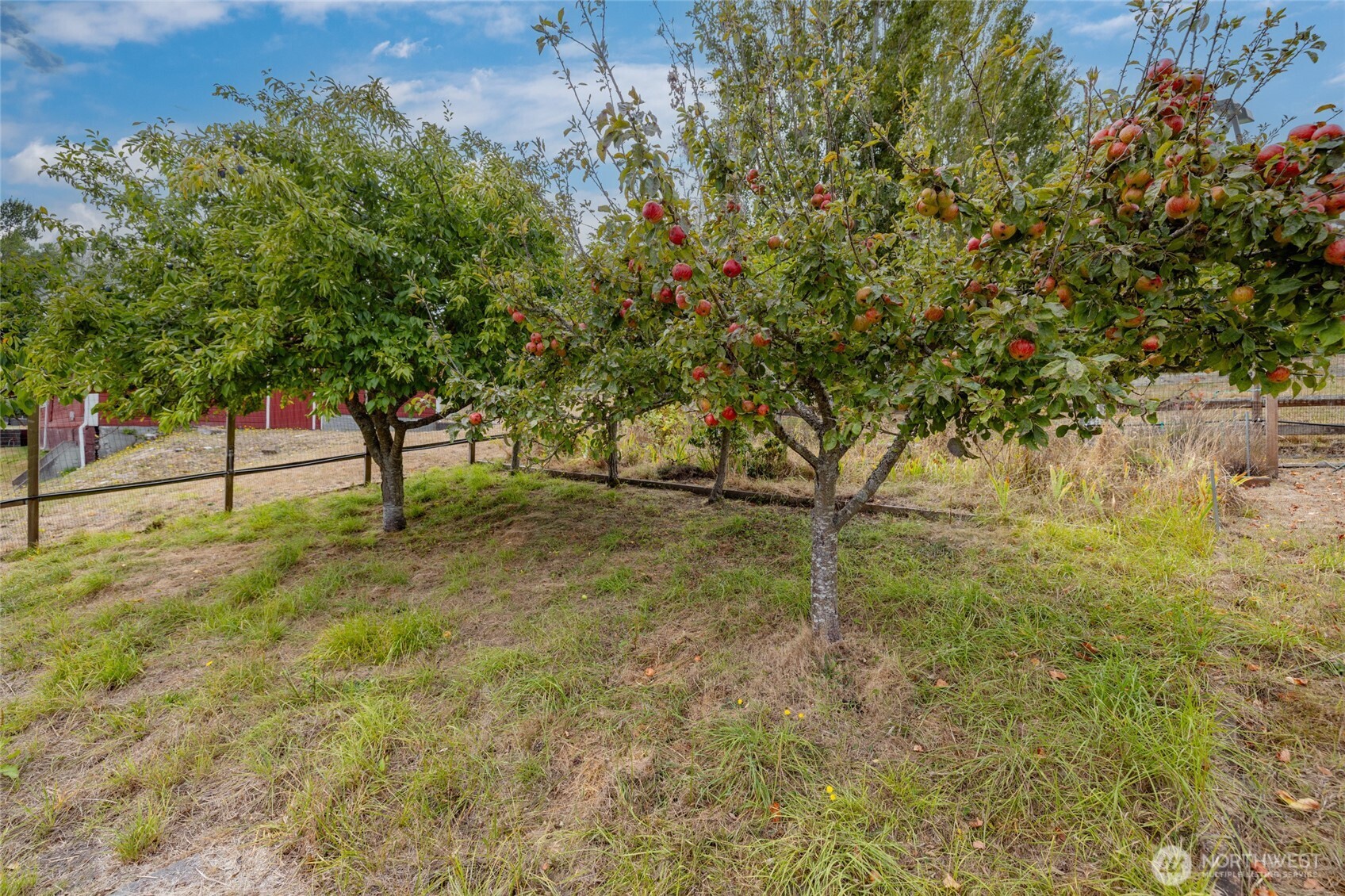 5375 Shore Meadow Road Property Photo 38