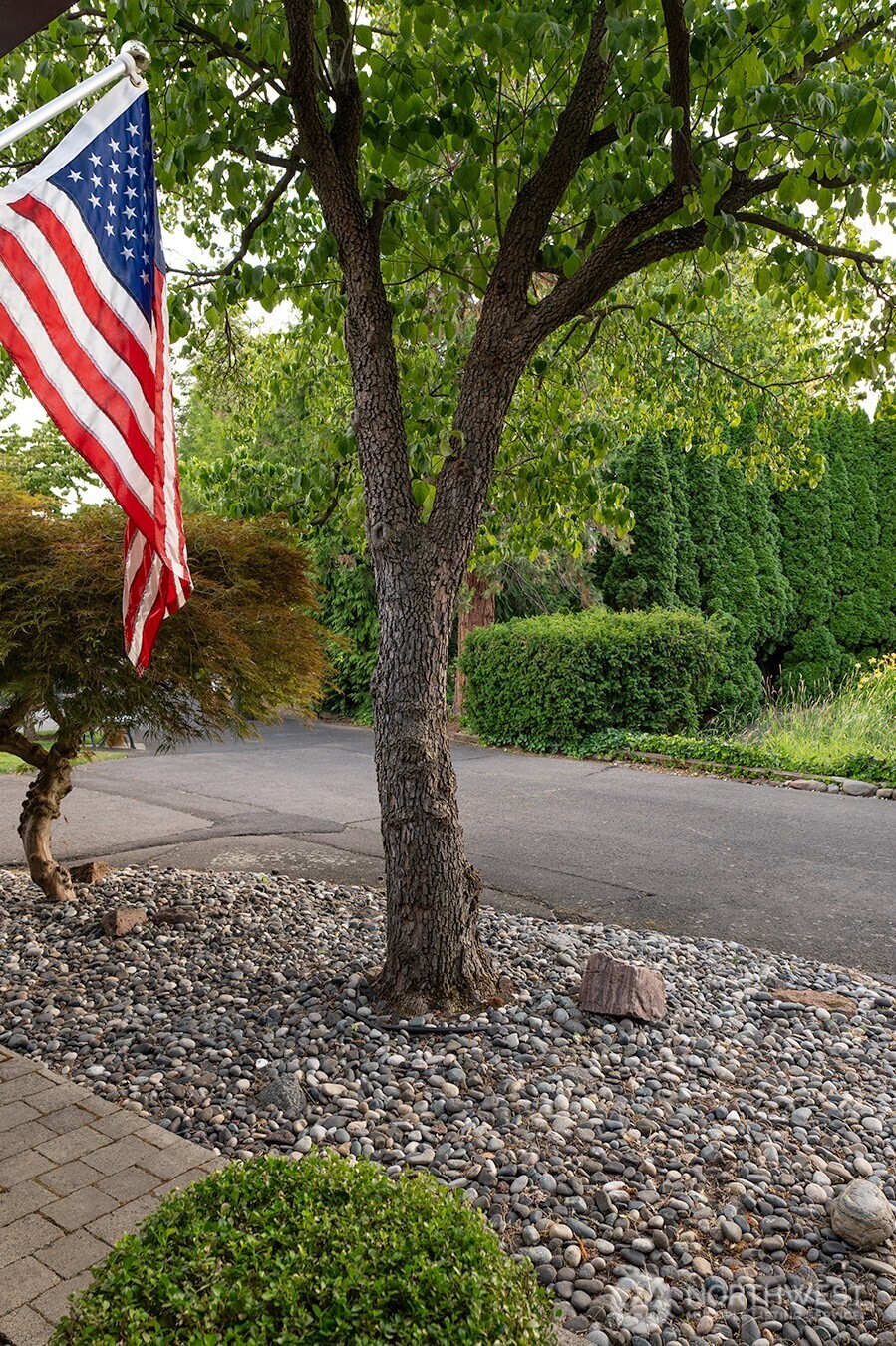 1831 Rustic Place Property Photo 4