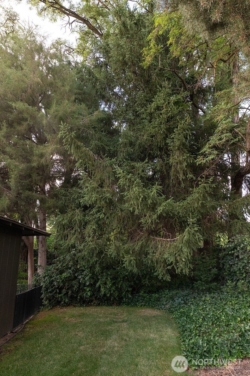 1831 Rustic Place Property Photo 33