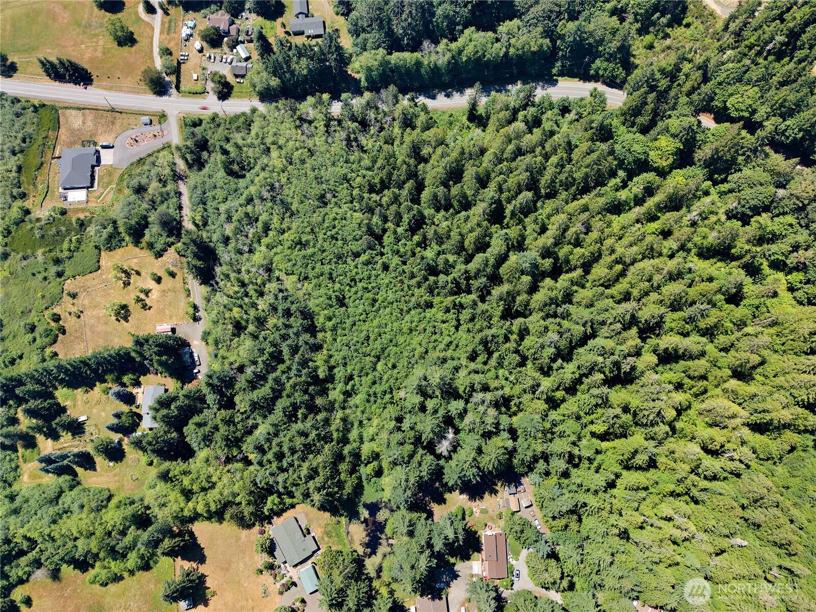 14 -acre Anderson Hill Property Photo 12
