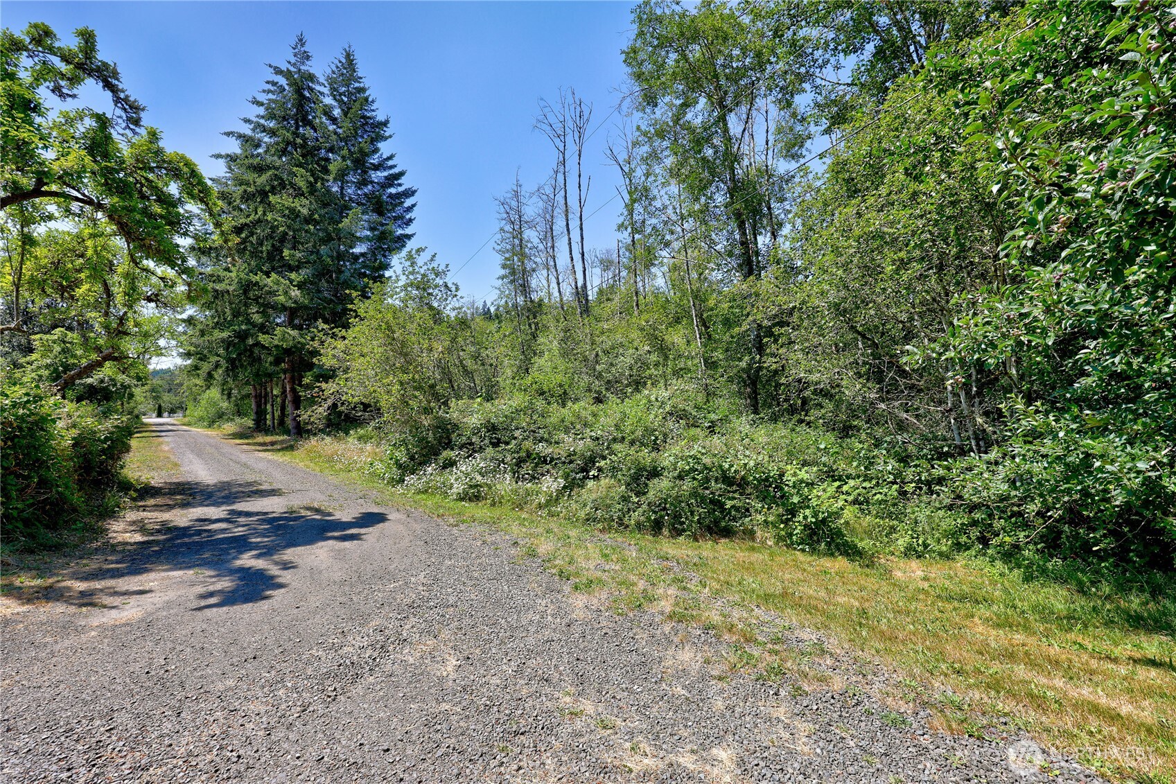 14 -acre Anderson Hill Property Photo 15