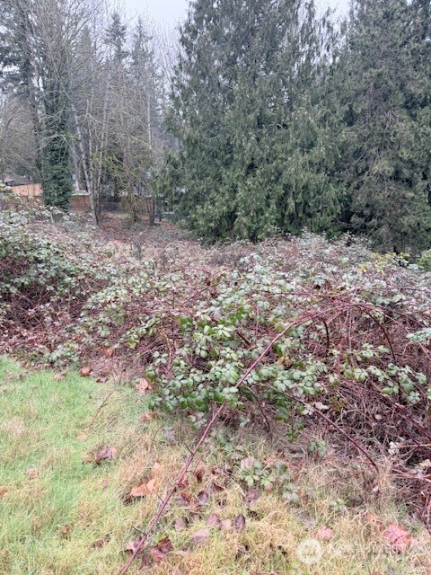 14708 Se 145th Place Property Photo 3