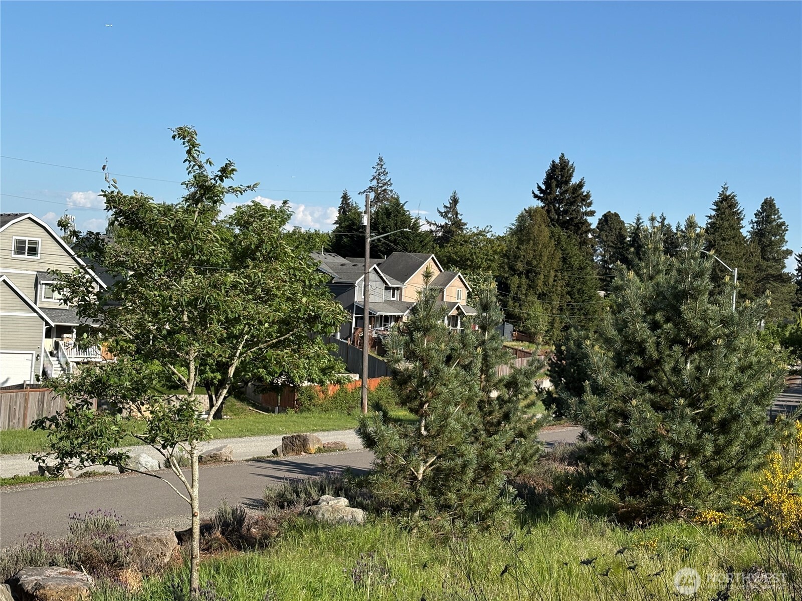 4031 E K Street Property Photo 18