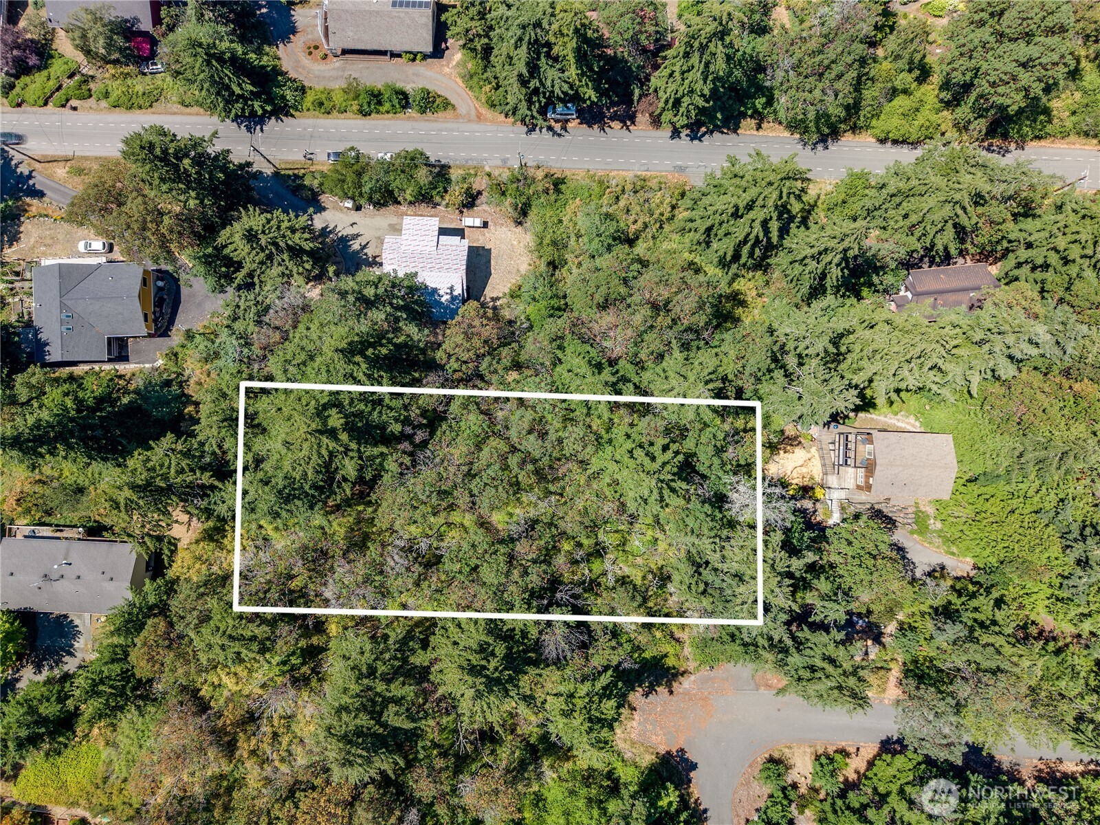 1025 Maple Street Property Photo 3