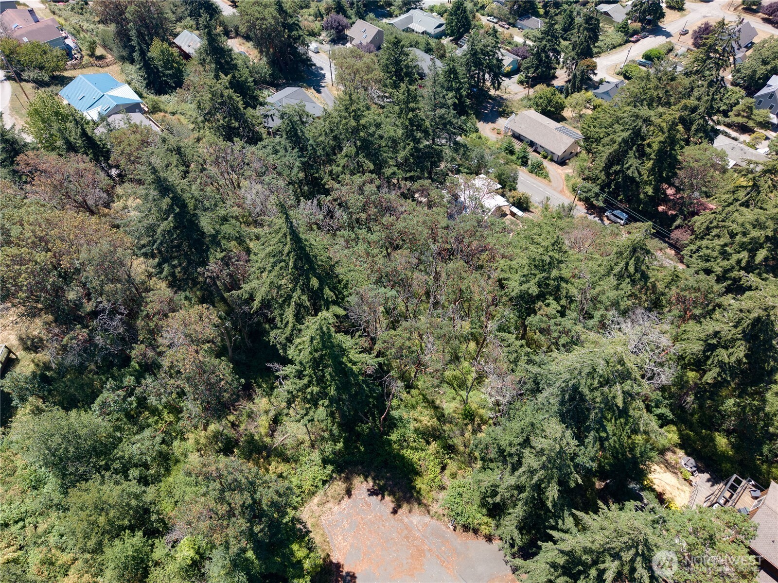 1025 Maple Street Property Photo 4