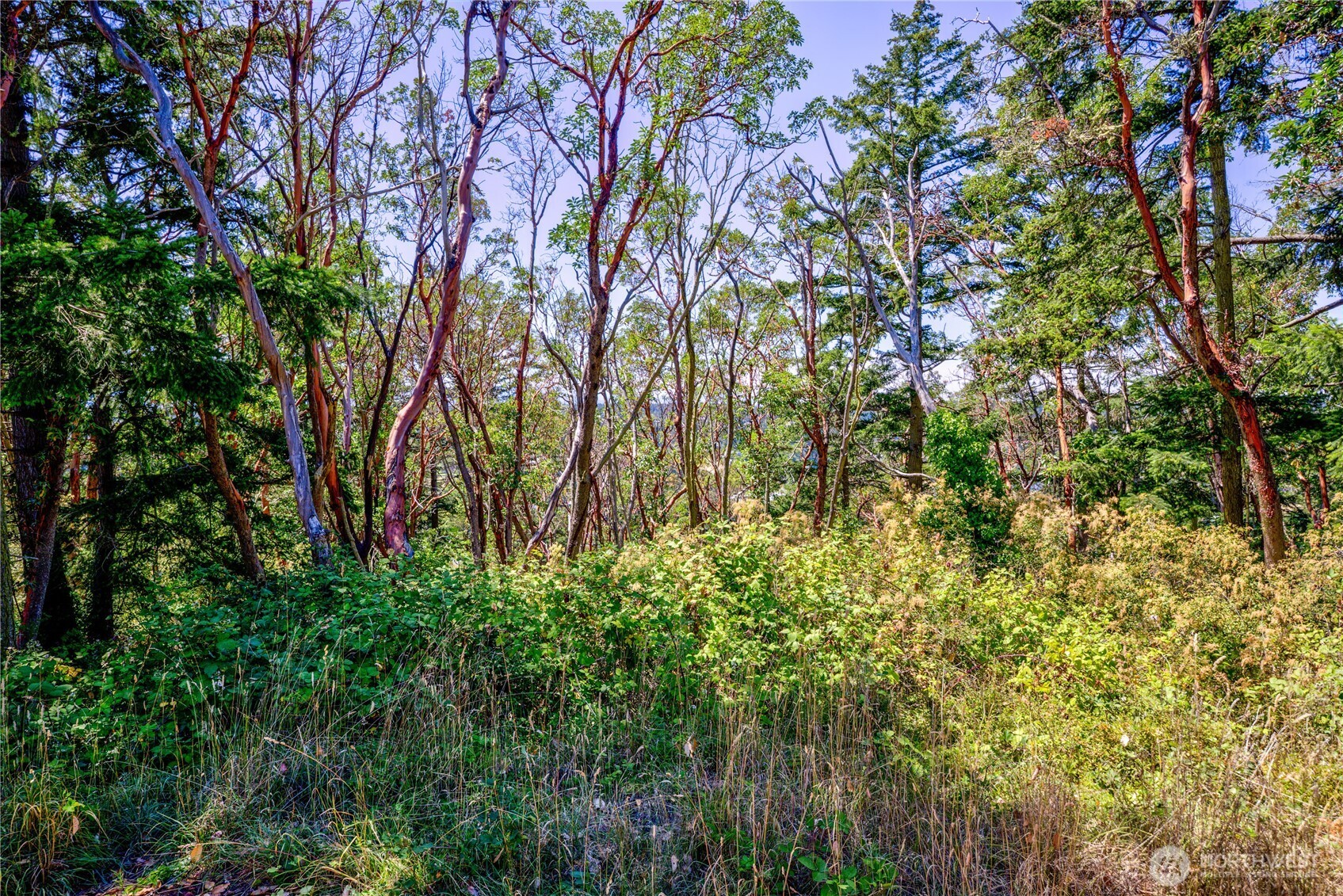 1025 Maple Street Property Photo 5