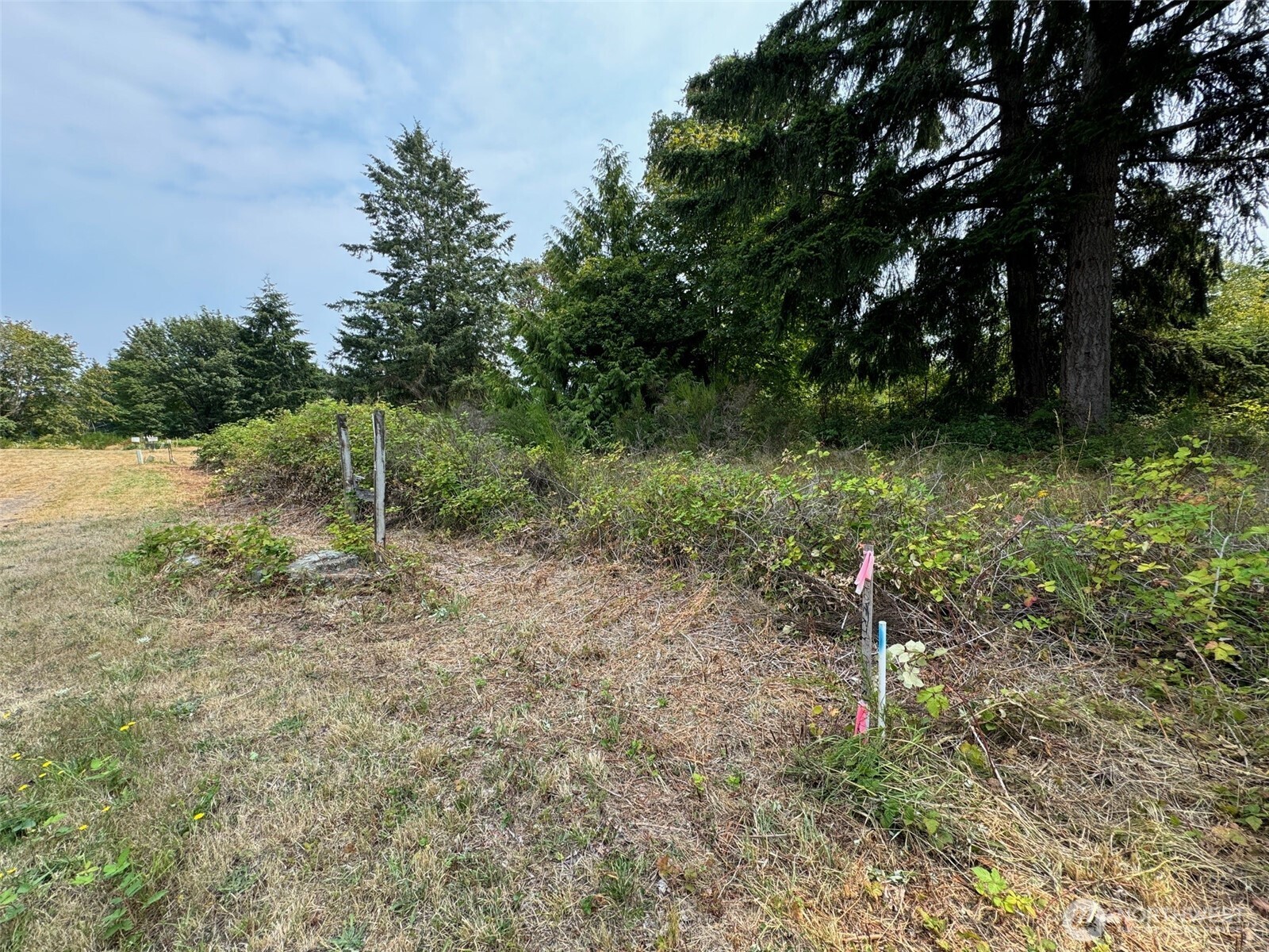 4101 161st Avenue Property Photo 10