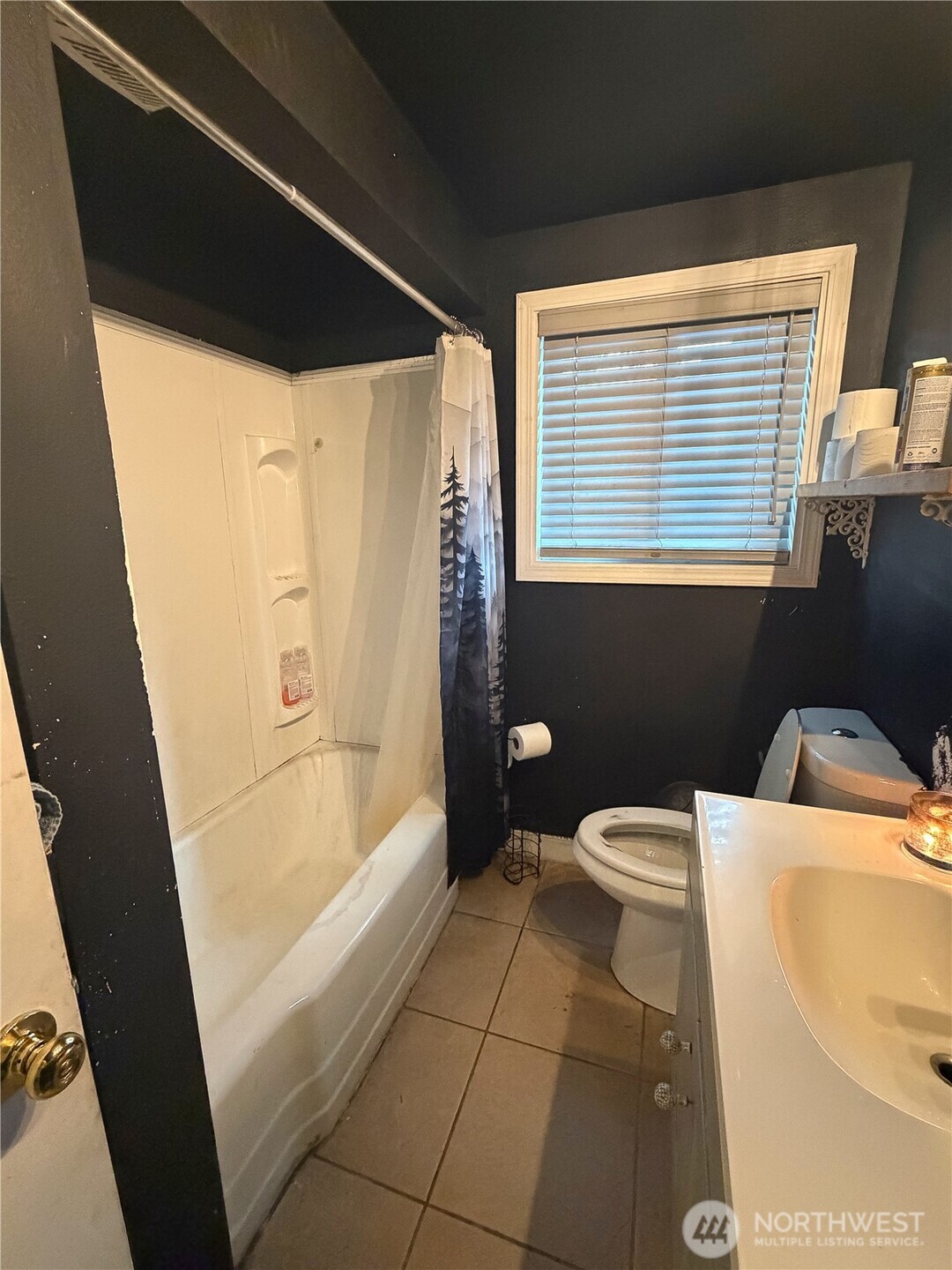 4810 17th Avenue Property Photo 9