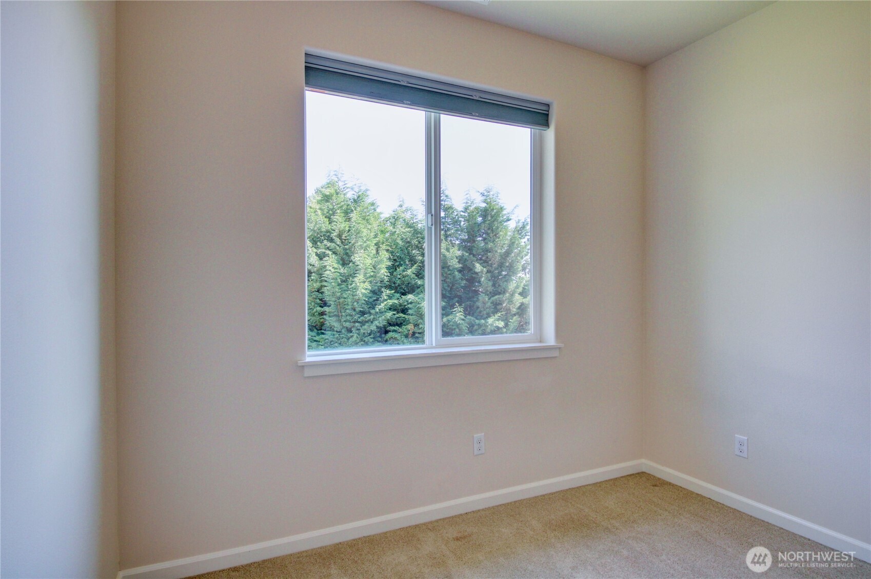 12779 Frazier Heights Loop Property Photo 18