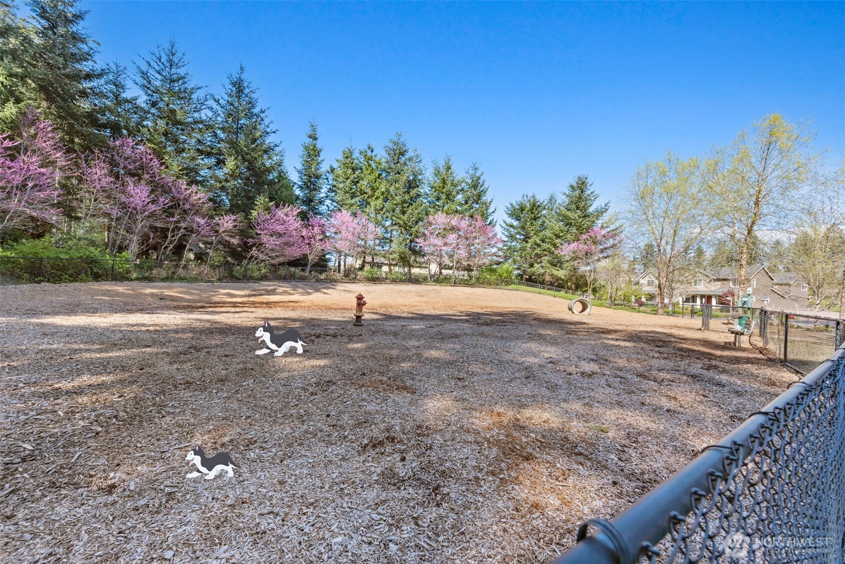 10212 242nd Avenue Property Photo 33