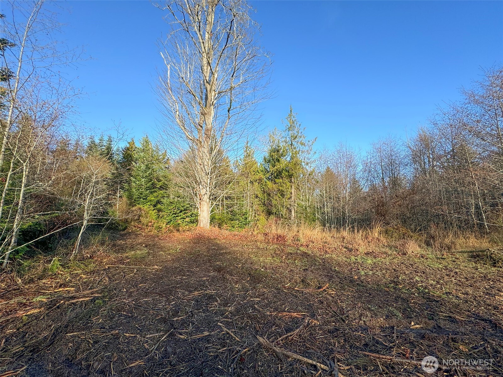 0 Nka N Bagley Creek Road Property Photo 4