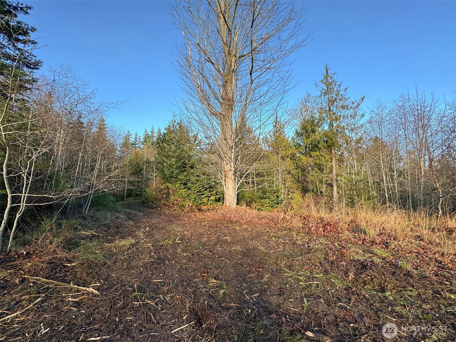 0 Nka N Bagley Creek Road Property Photo 14
