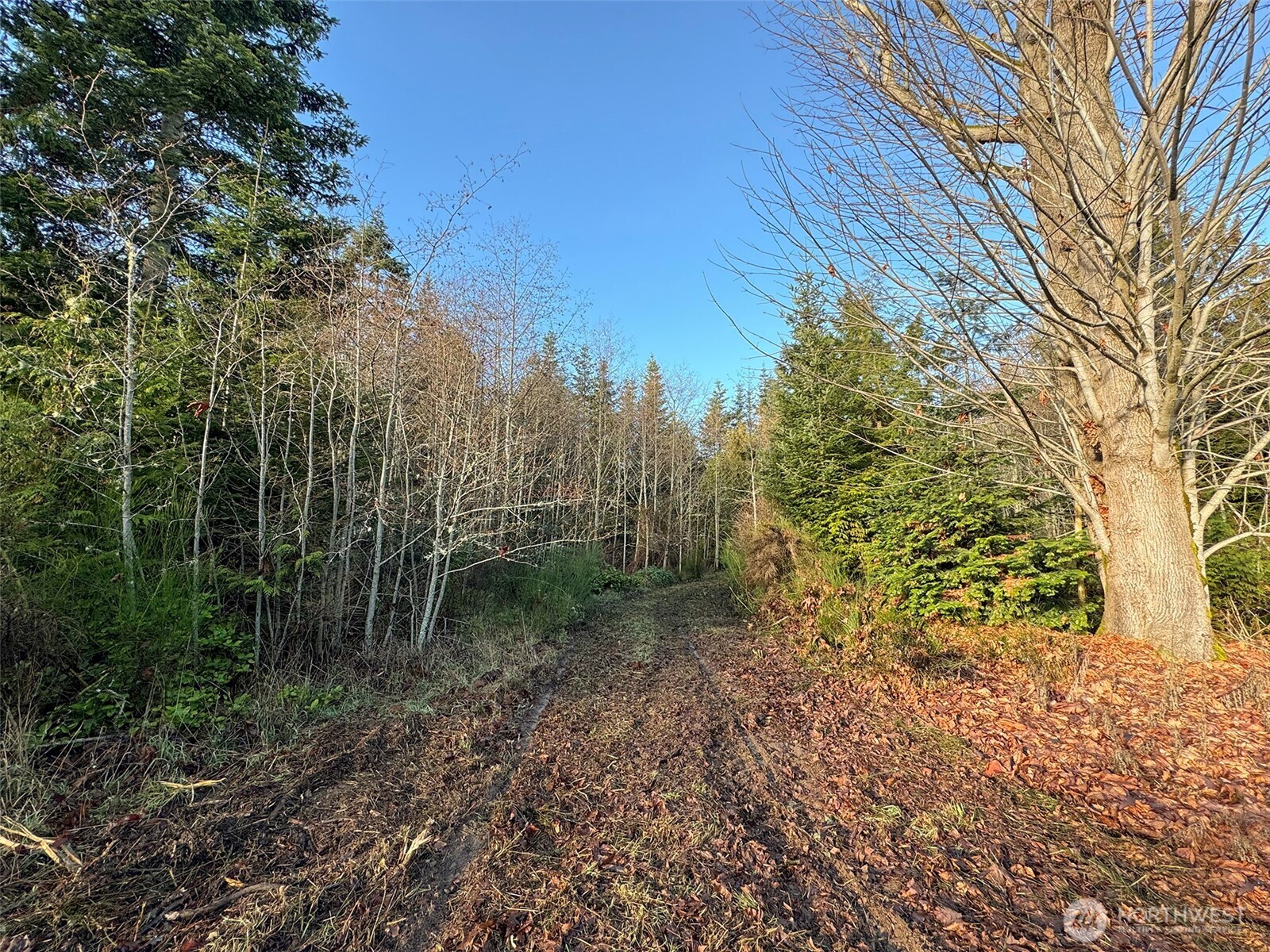 0 Nka N Bagley Creek Road Property Photo 15