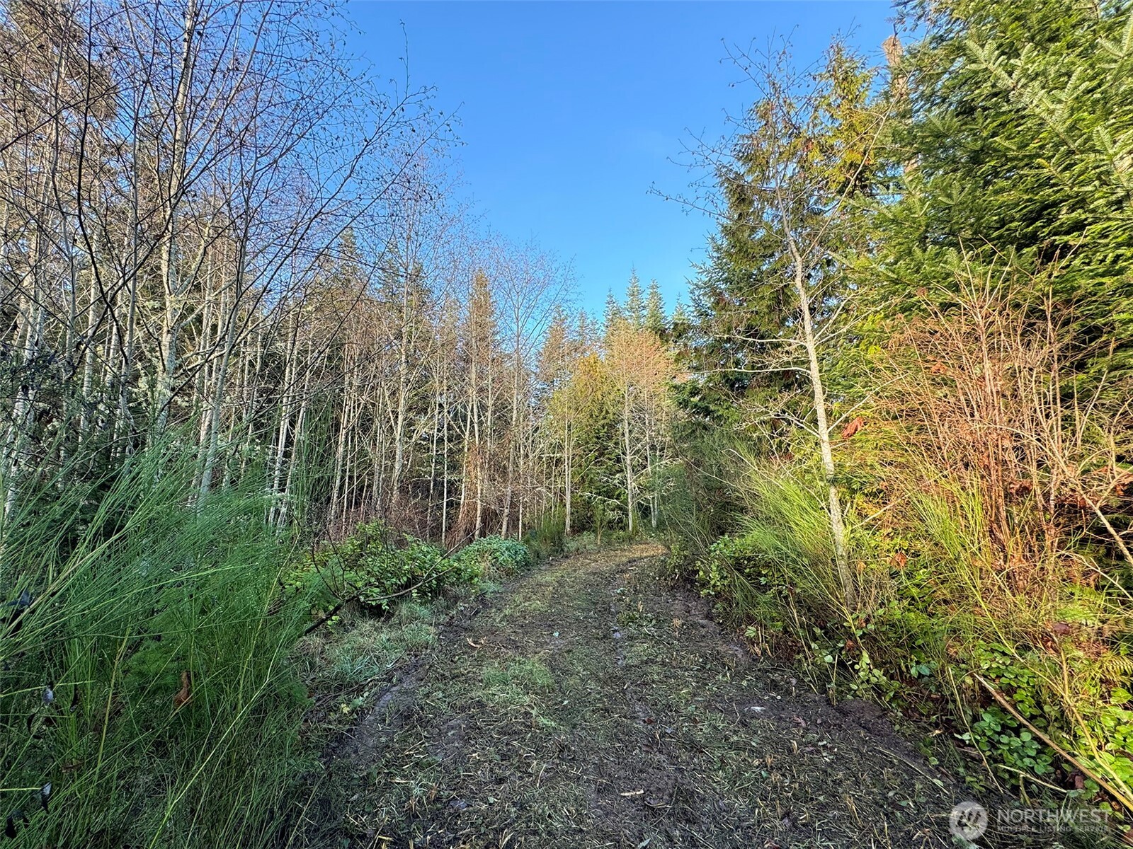 0 Nka N Bagley Creek Road Property Photo 16