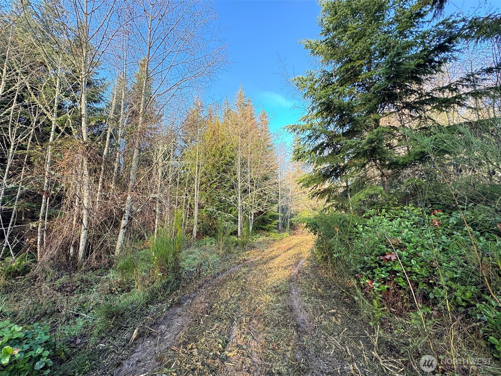 0 Nka N Bagley Creek Road Property Photo 17