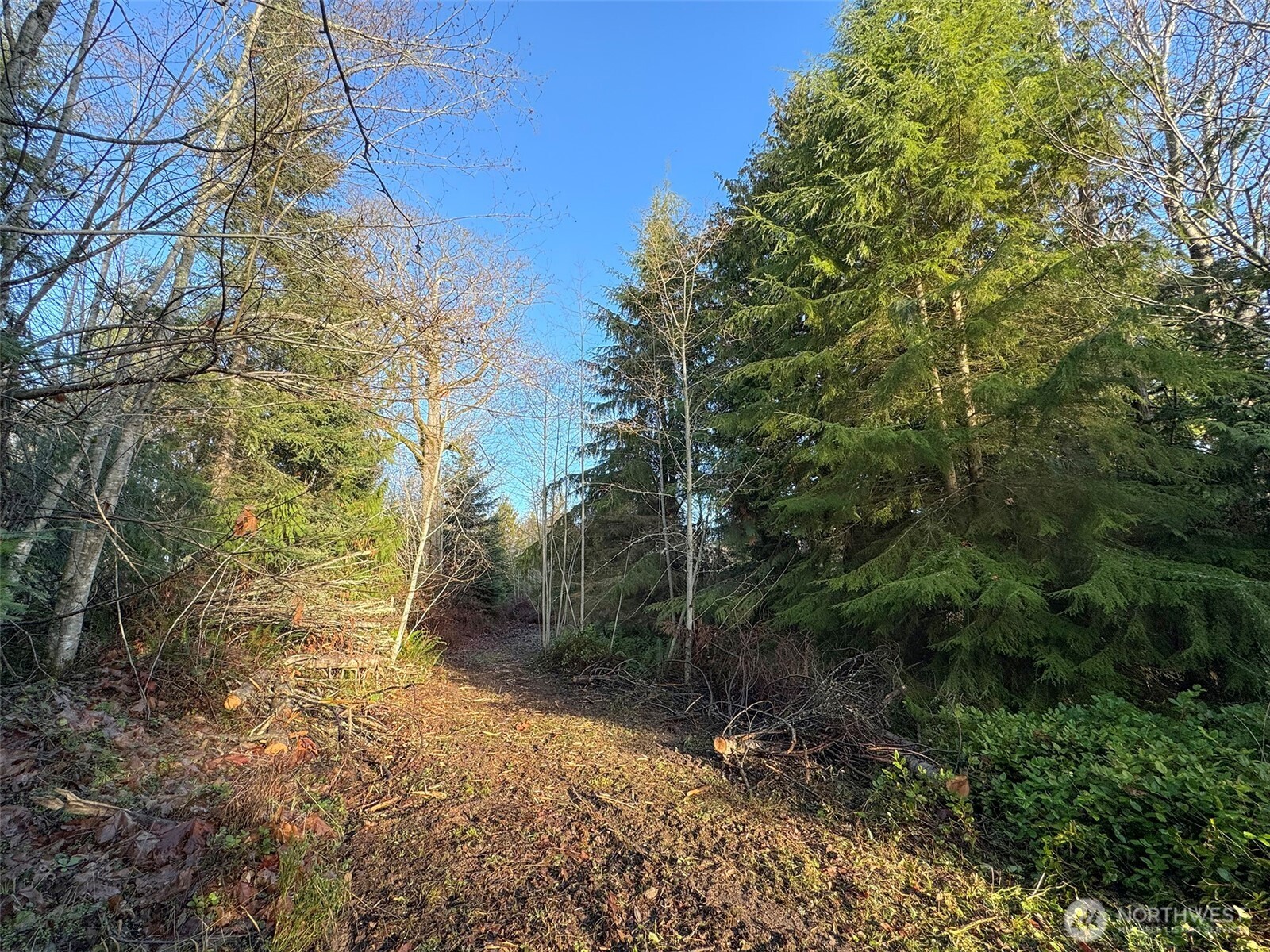 0 Nka N Bagley Creek Road Property Photo 18