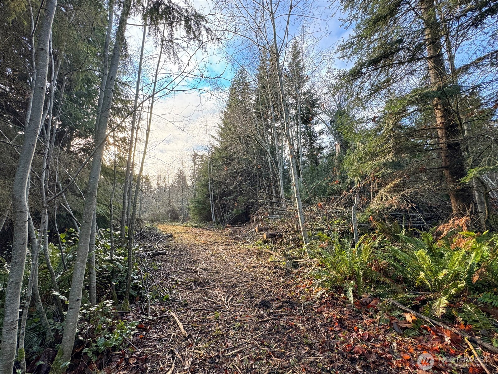 0 Nka N Bagley Creek Road Property Photo 19