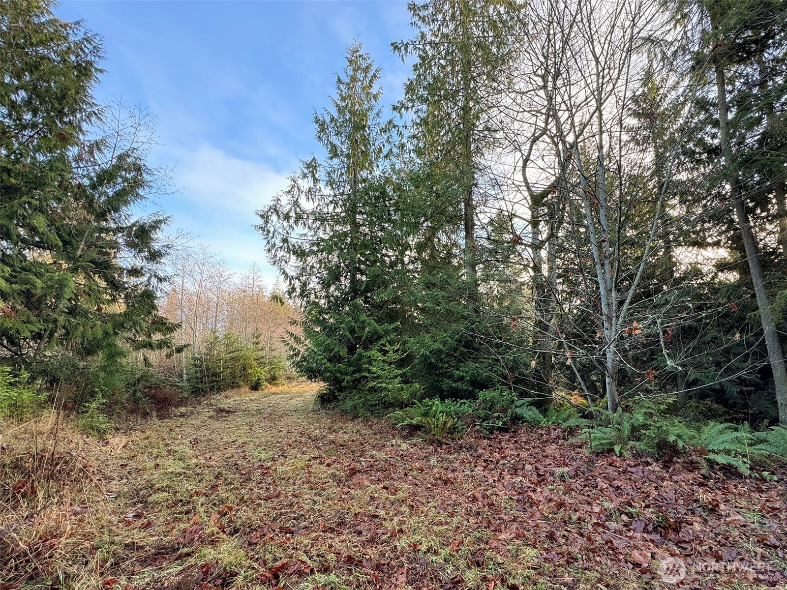 0 Nka N Bagley Creek Road Property Photo 20