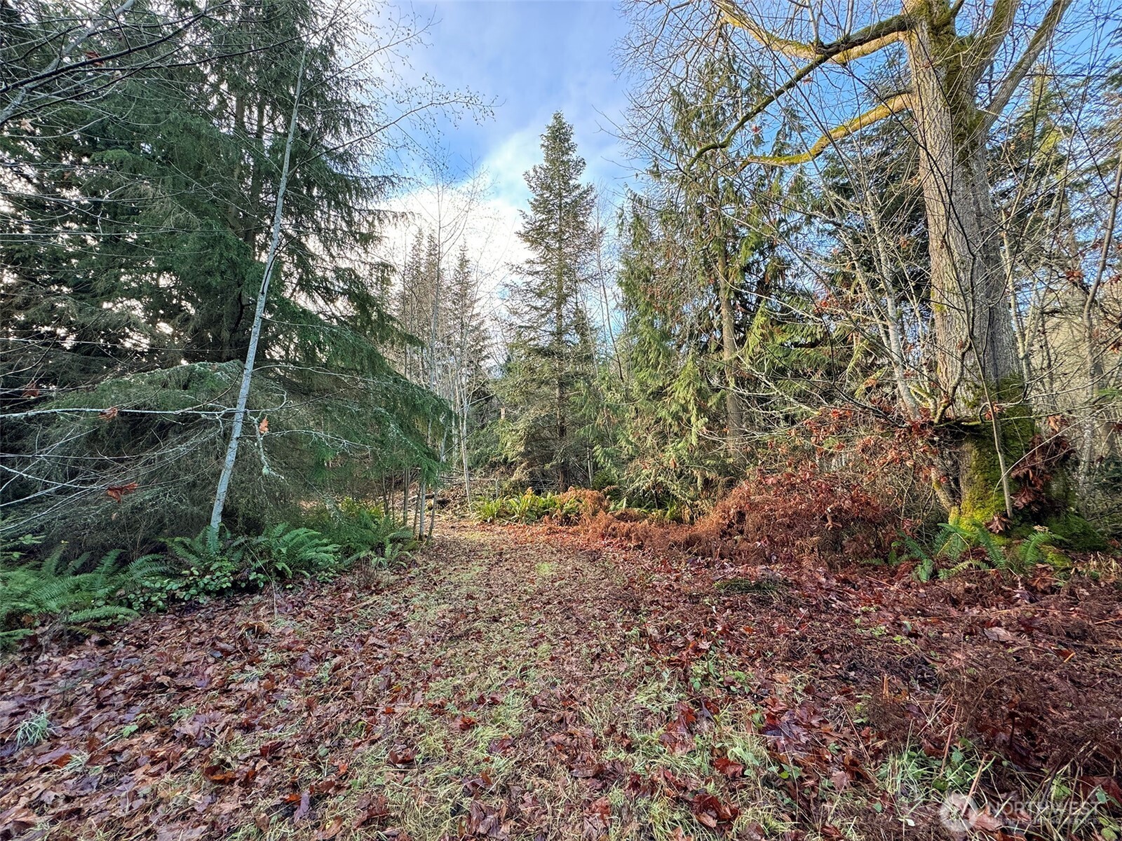0 Nka N Bagley Creek Road Property Photo 21