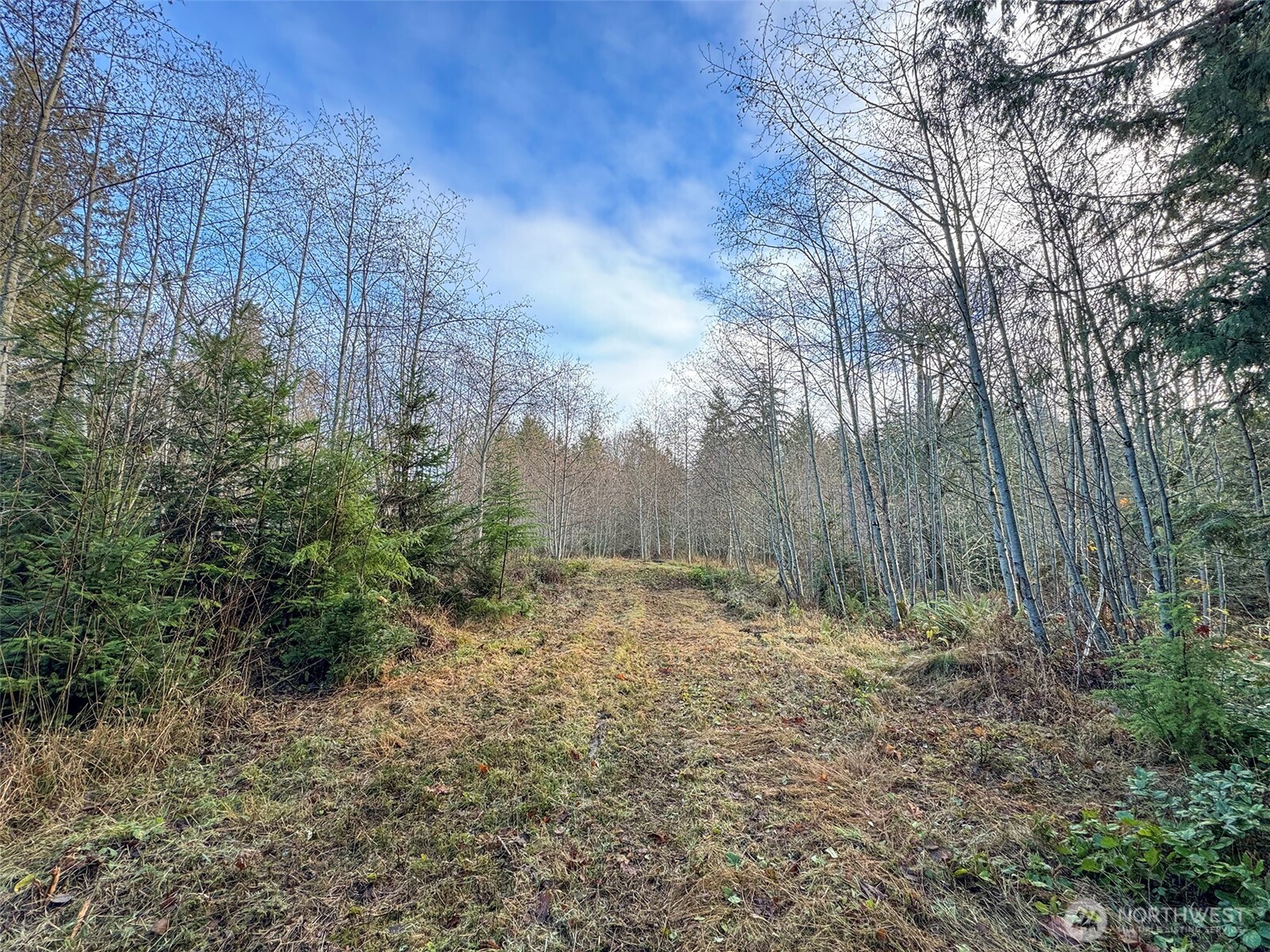 0 Nka N Bagley Creek Road Property Photo 22
