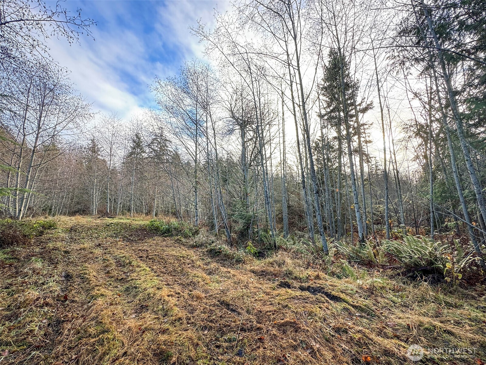 0 Nka N Bagley Creek Road Property Photo 23