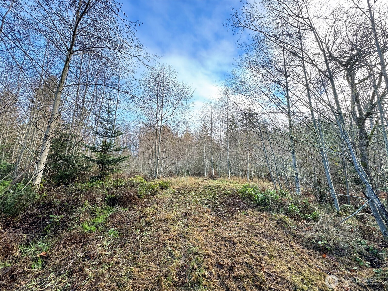 0 Nka N Bagley Creek Road Property Photo 24