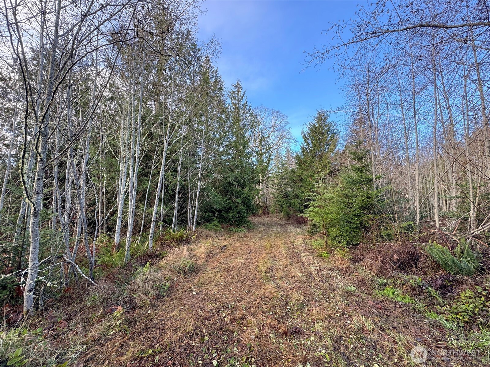 0 Nka N Bagley Creek Road Property Photo 25