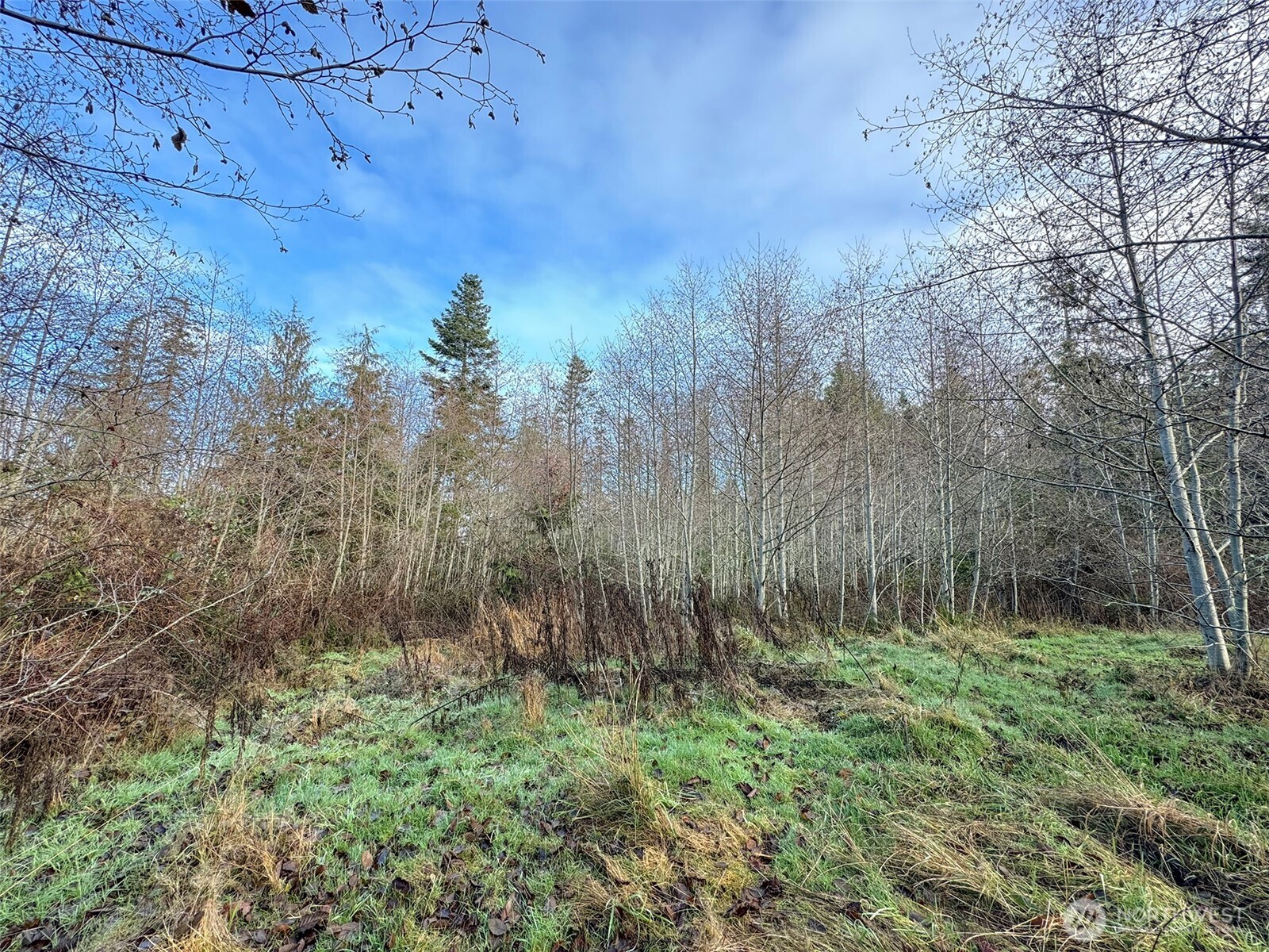 0 Nka N Bagley Creek Road Property Photo 26
