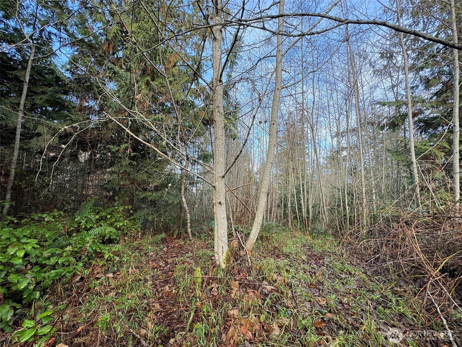 0 Nka N Bagley Creek Road Property Photo 27