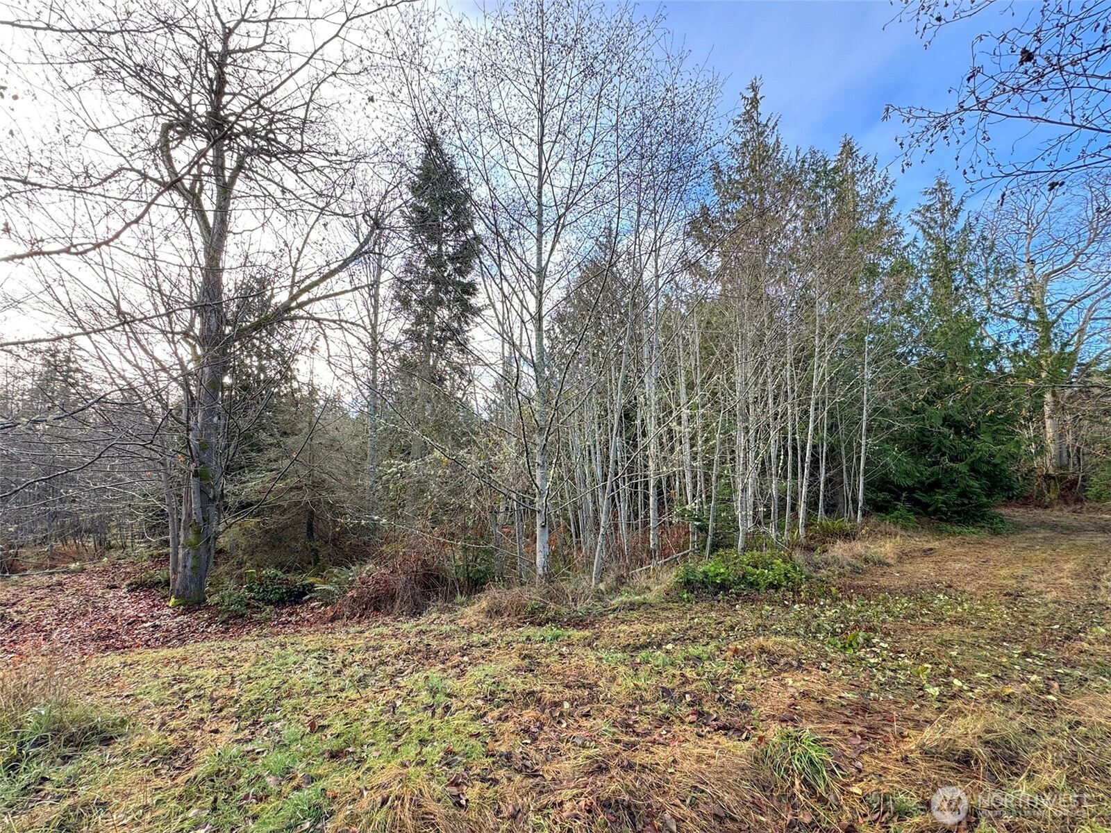 0 Nka N Bagley Creek Road Property Photo 28