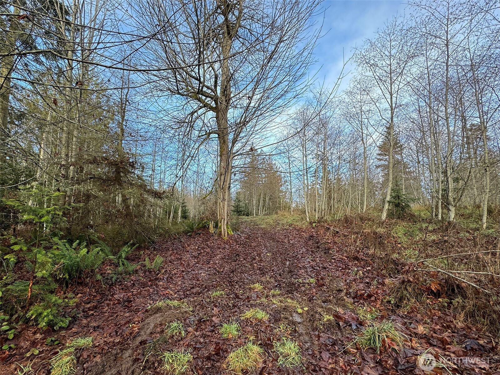0 Nka N Bagley Creek Road Property Photo 29