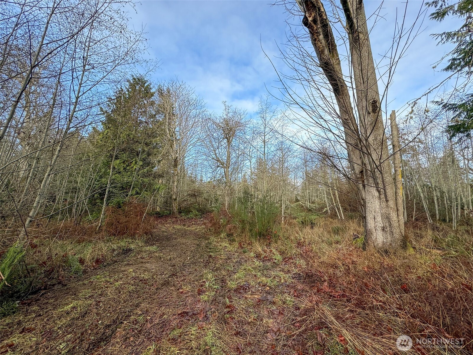 0 Nka N Bagley Creek Road Property Photo 30