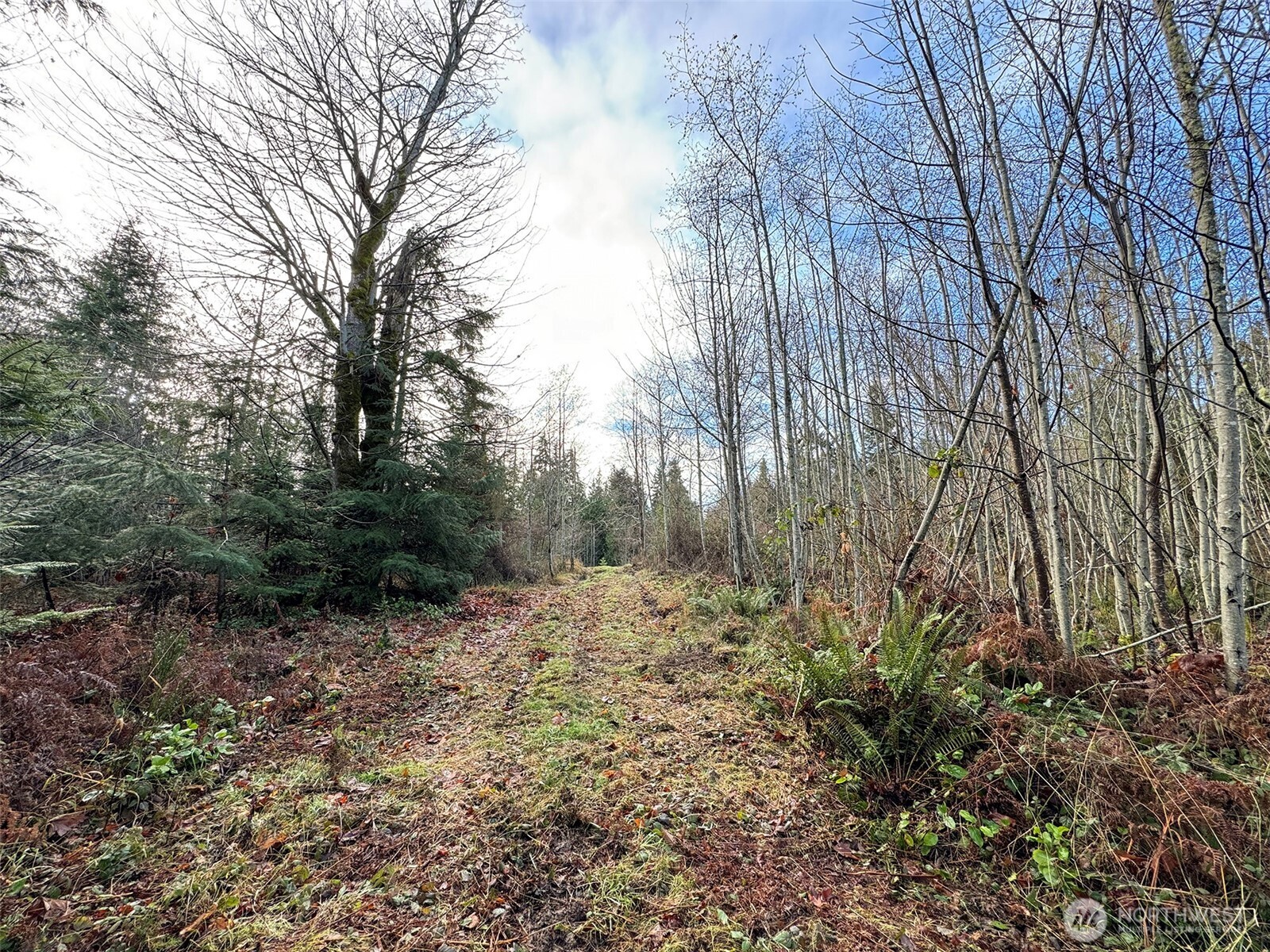 0 Nka N Bagley Creek Road Property Photo 31