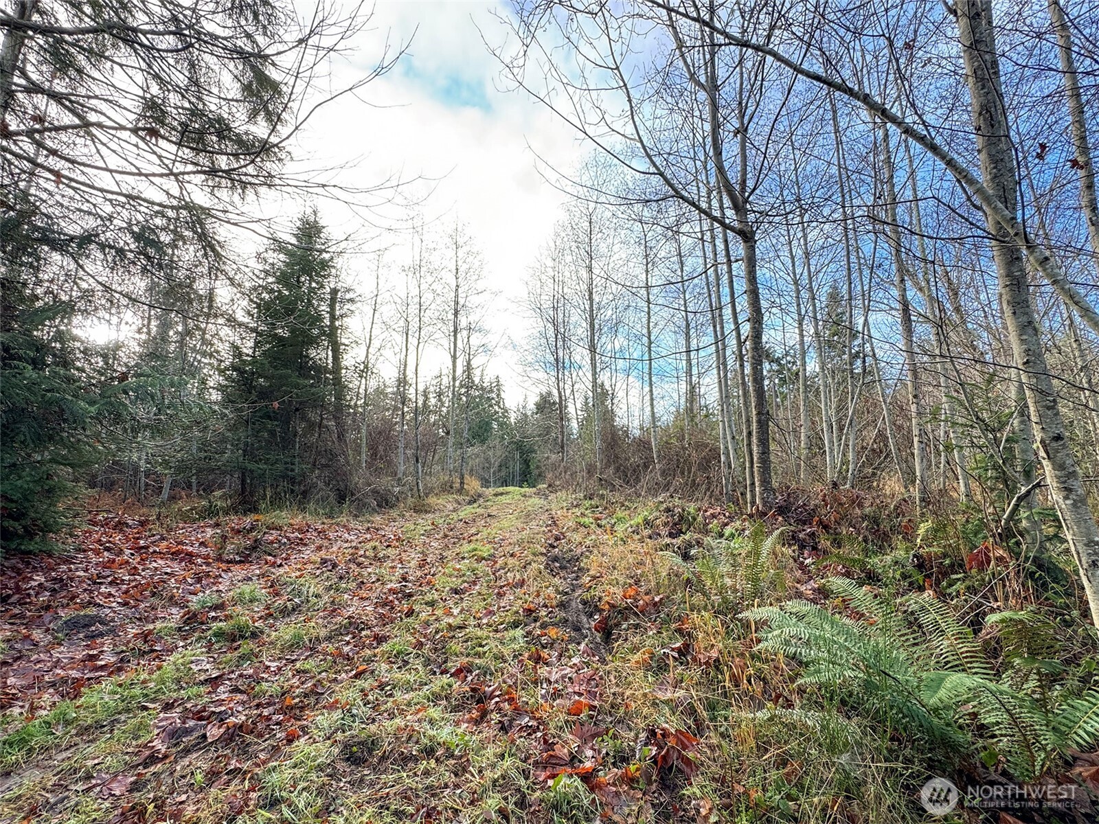 0 Nka N Bagley Creek Road Property Photo 32