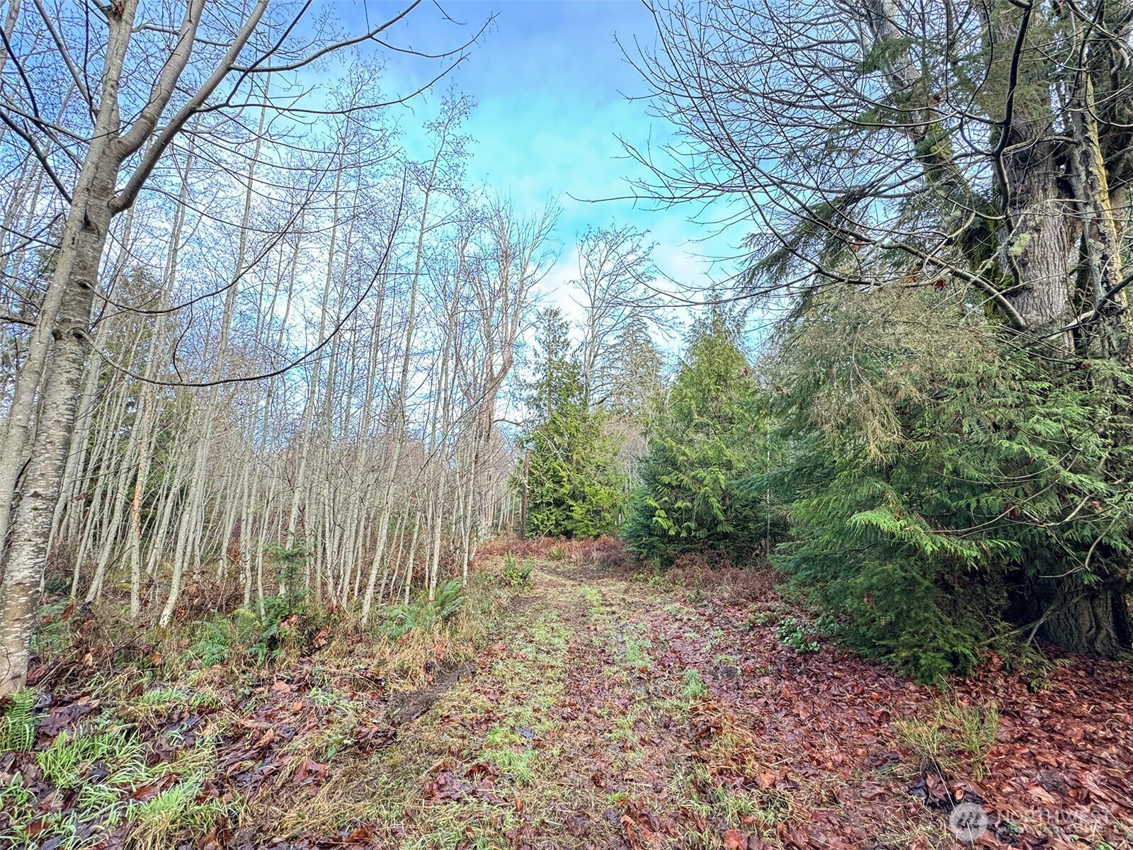 0 Nka N Bagley Creek Road Property Photo 33