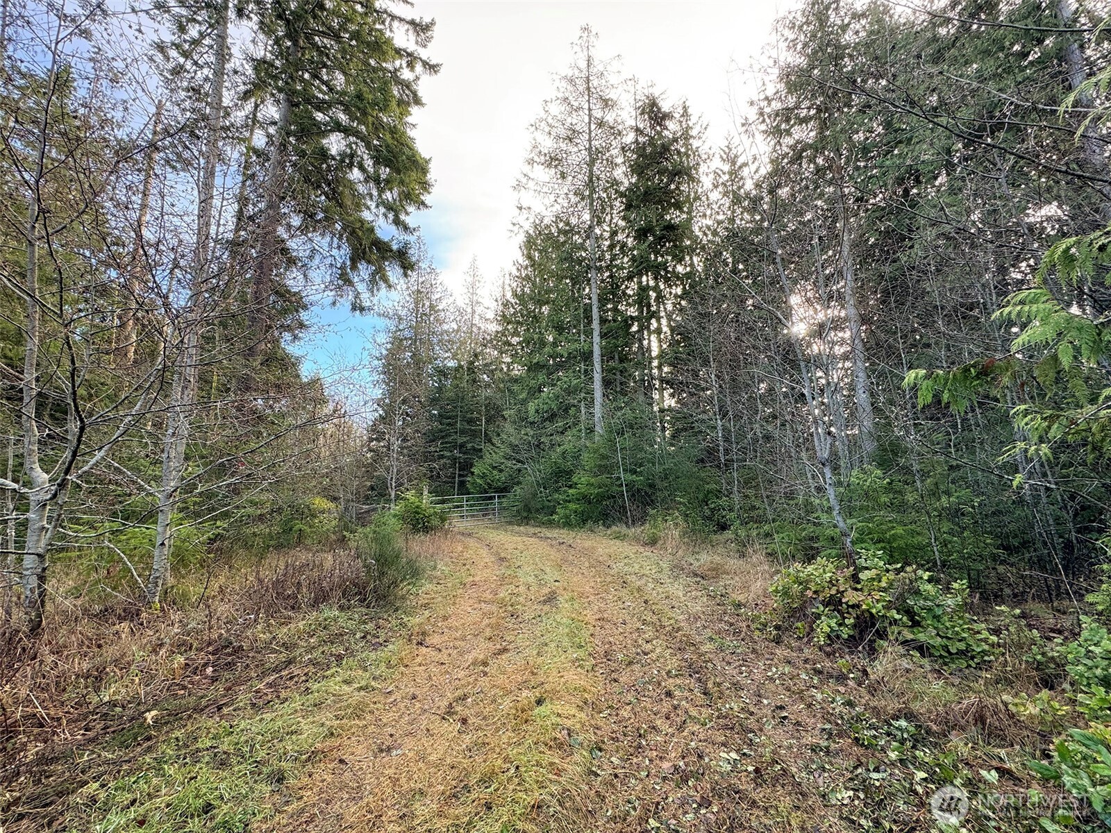 0 Nka N Bagley Creek Road Property Photo 37