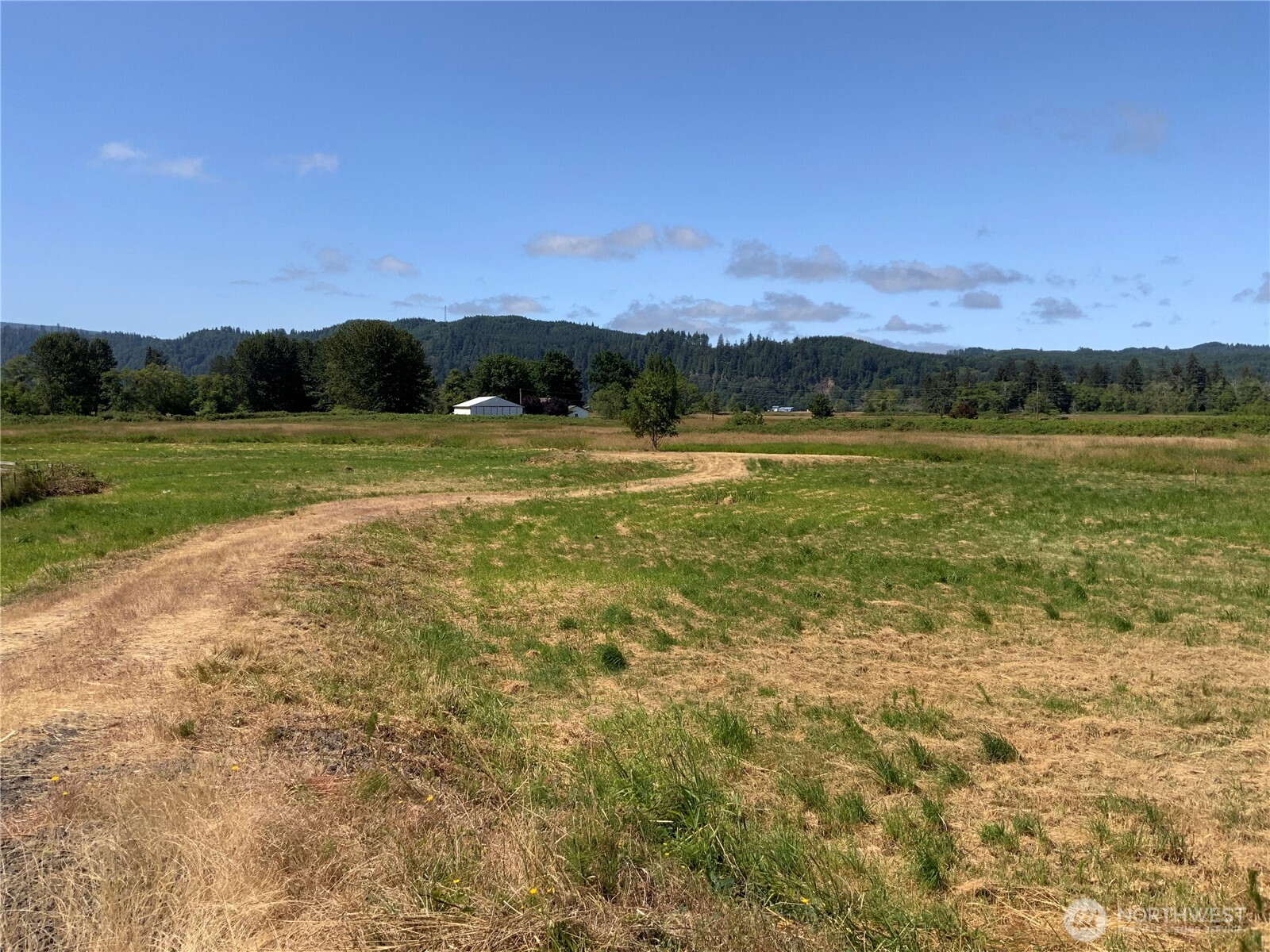 411 W Birnie Slough Road Property Photo 18