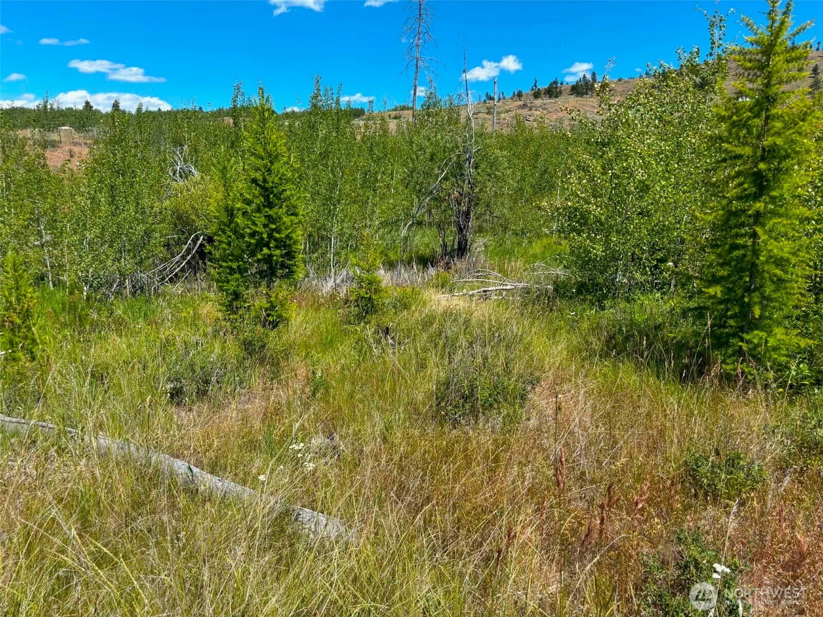94 Allen Drive Property Photo 16