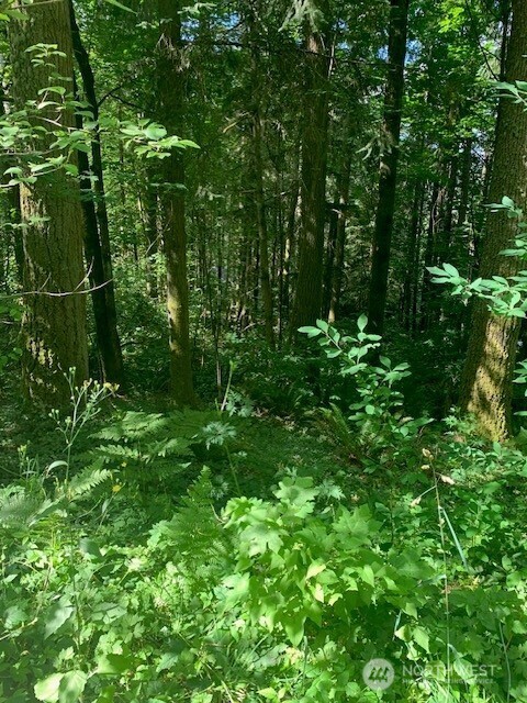 24829 Se Mirrormont Boulevard Property Photo 2
