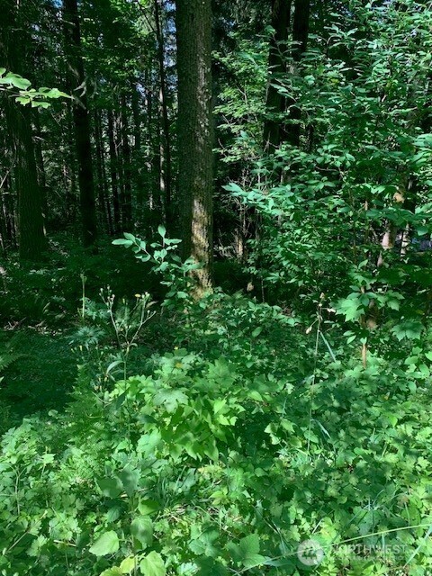 24829 Se Mirrormont Boulevard Property Photo 4