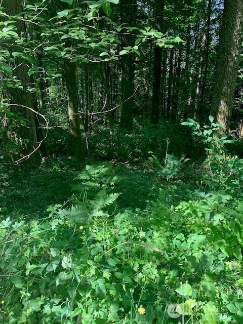 24829 Se Mirrormont Boulevard Property Photo 5