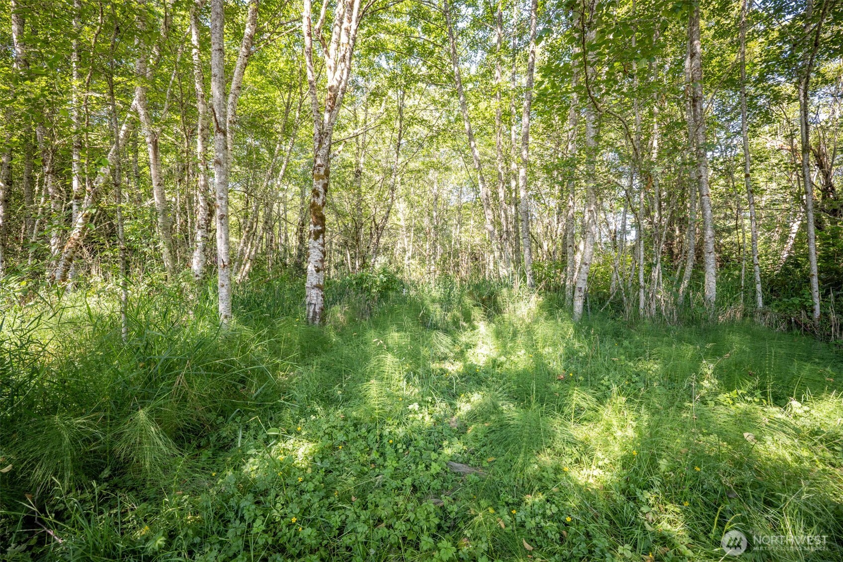 92 Gossett Road Property Photo 17
