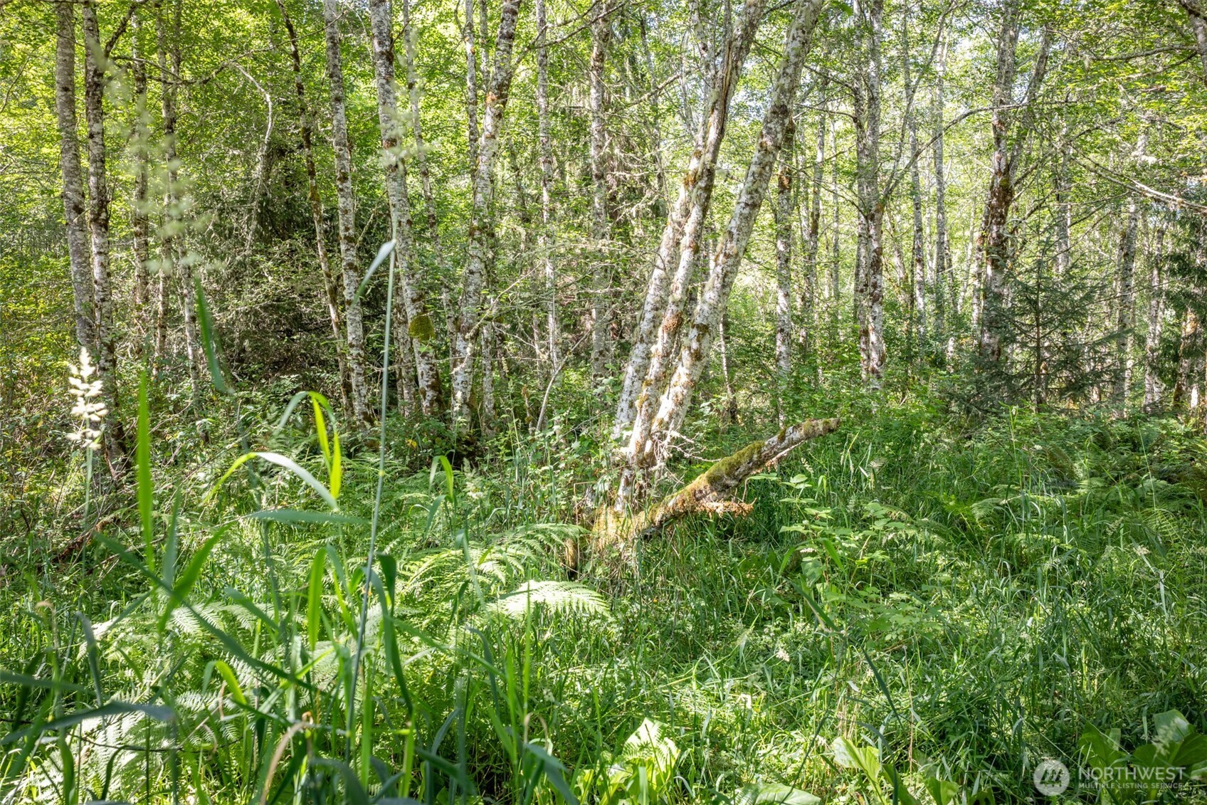 92 Gossett Road Property Photo 18